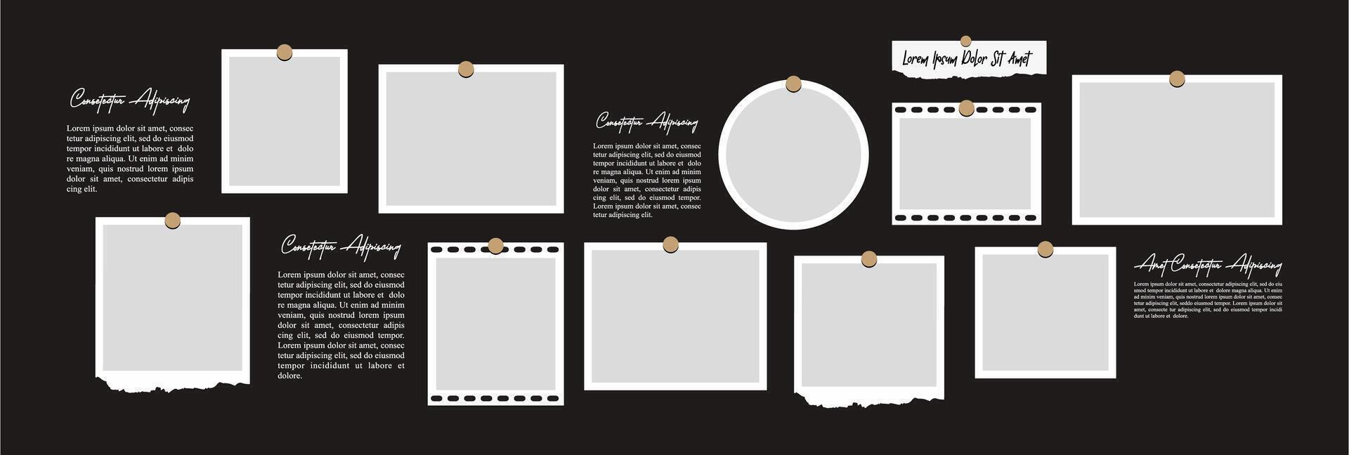 Moodboard photo collage design vector