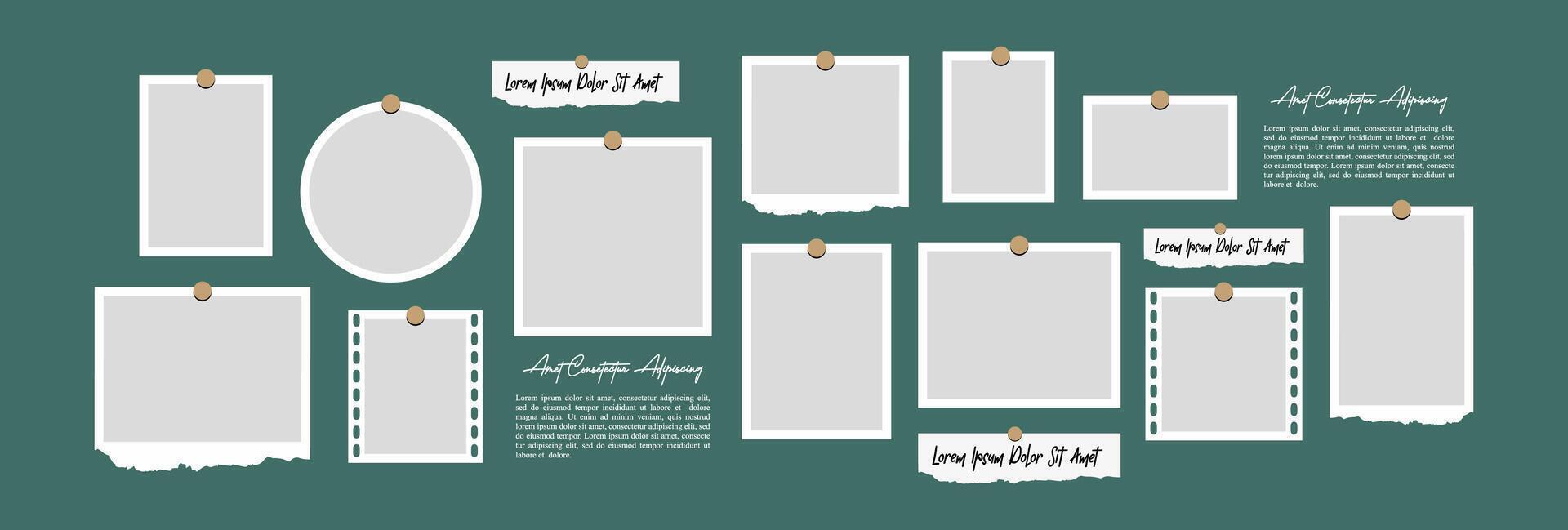Creative Template Collage Frames for photo vector