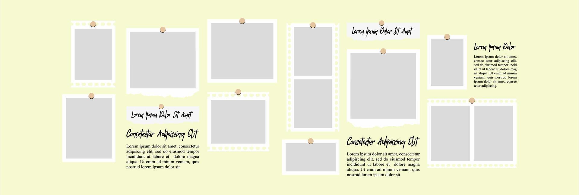 Picture Collage grid photo effect template vector