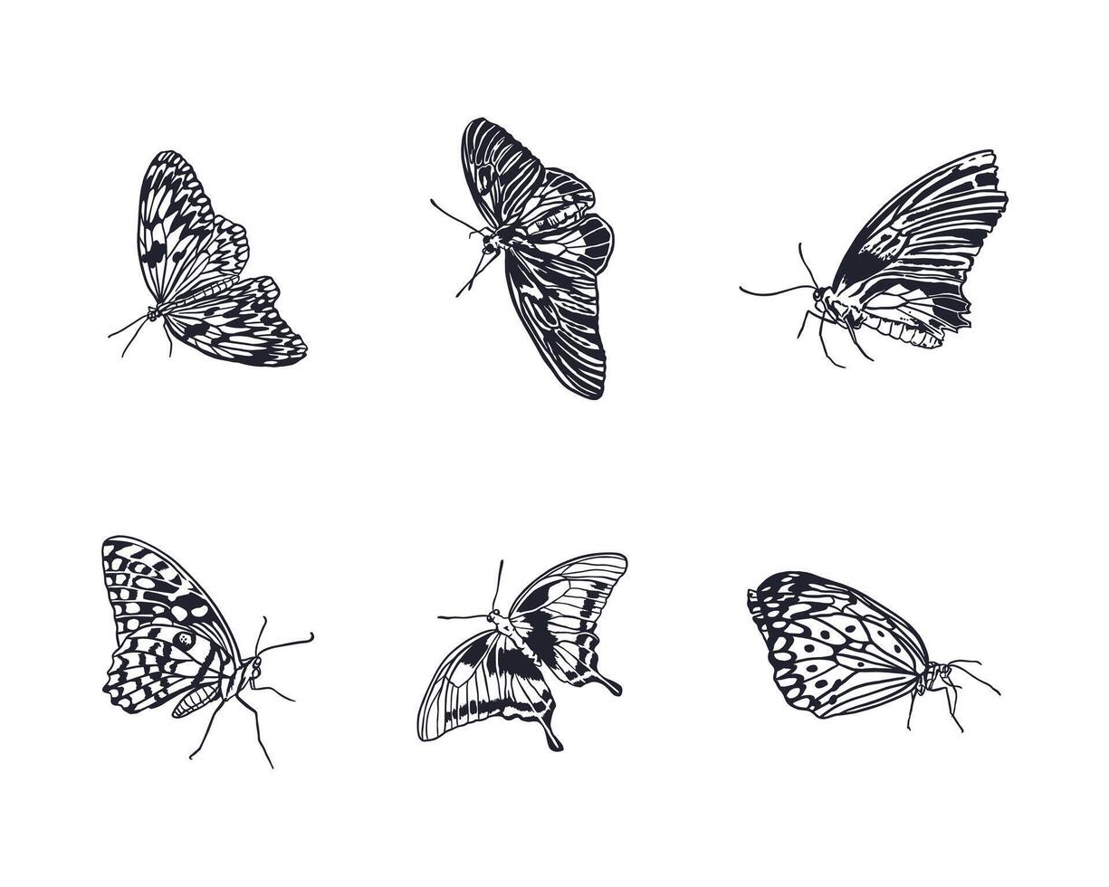 Butterflies set, black and white. Hand drawn illustration in graphic style. For cards, wallpapers, labels, invitations, covers, banners, posters, packaging. vector