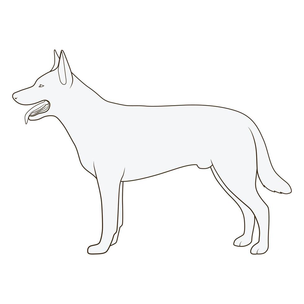 Dog side view scheme silhouette medical veterinary science educational illustration vector