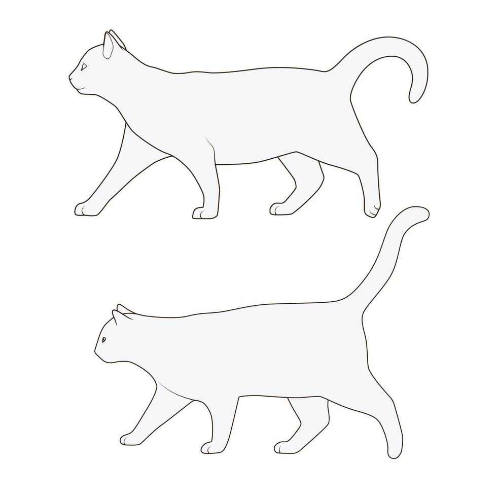 Cat side view scheme silhouette medical veterinary illustration vector
