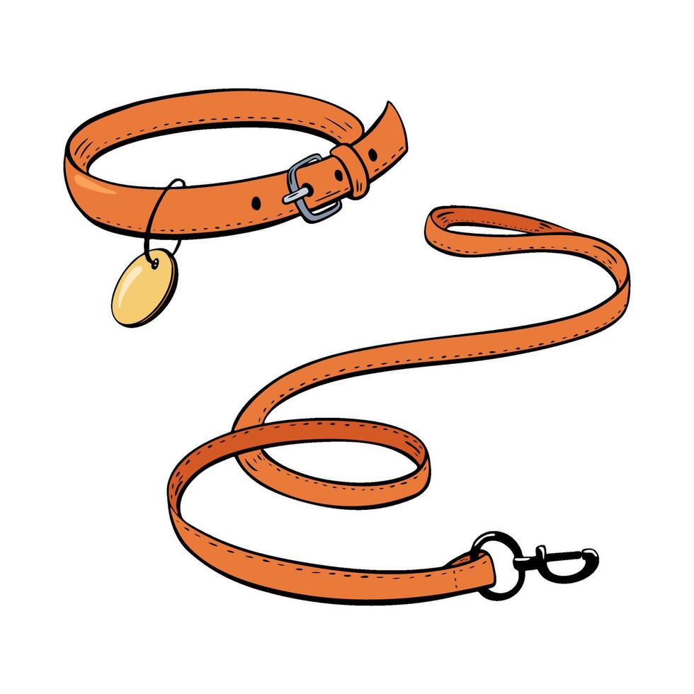 Discover the Stylish Orange Dog Collar and Leash Set designed specifically for Pet Owners. illustration. Pet shop vector
