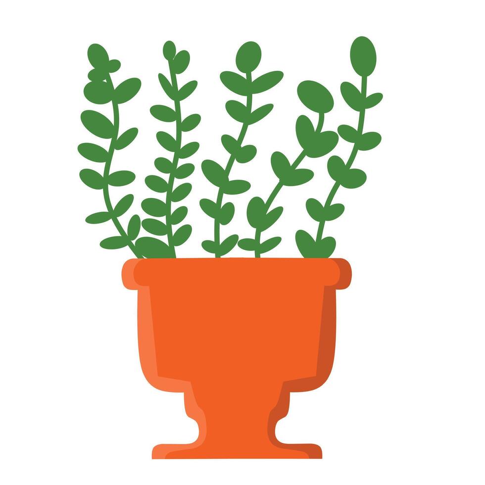 illustration of a green plant with multiple stems and oval-shaped leaves growing in an orange, decorative pot with the leaves arranged alternately along the stems. vector