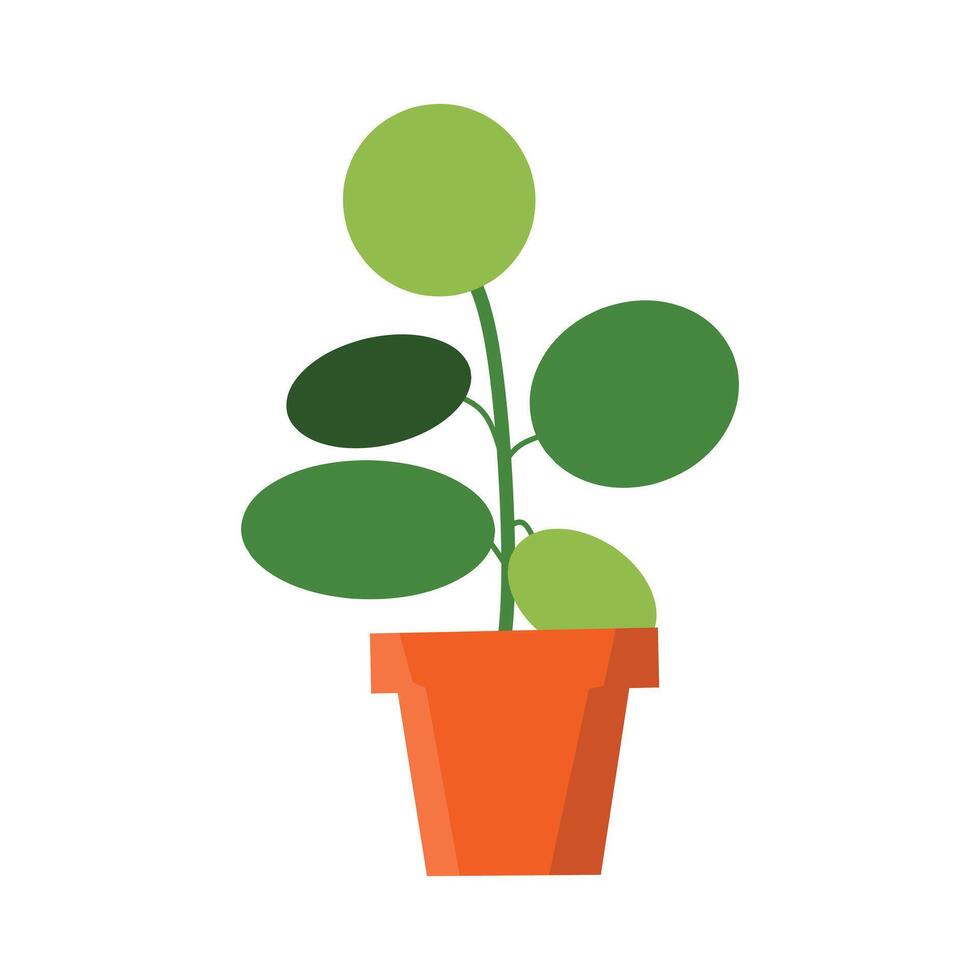A minimalist illustration of a potted plant with round green leaves and a green stem. The orange pot adds a warm contrast, making it ideal for nature, decor, and botanical-themed projects vector