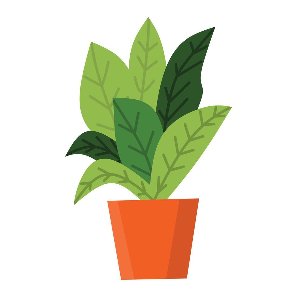 illustration of a green plant with multiple stems and oval-shaped leaves growing in an orange, decorative pot with the leaves arranged alternately along the stems. vector