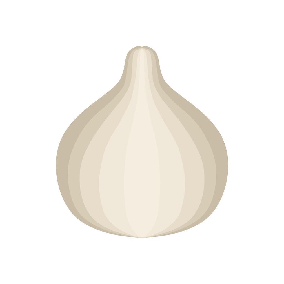 Fresh garlic vegetable cartoon illustration vector