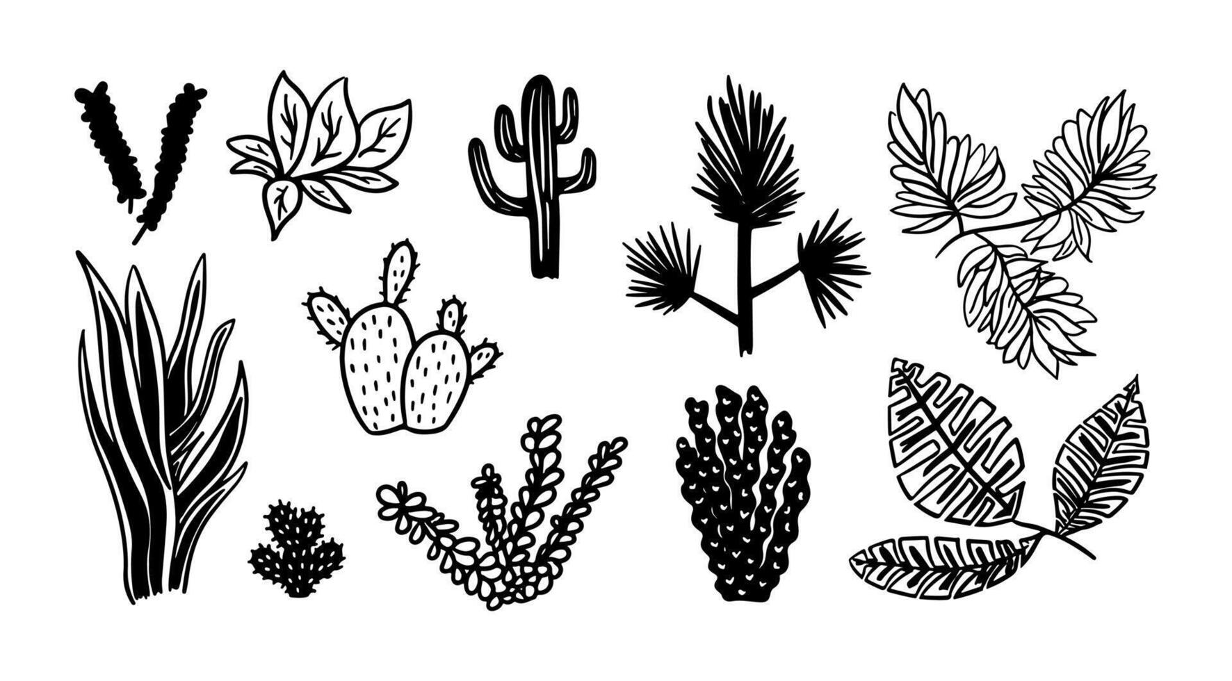 Doodle plants, tropical leaves, cactus set. Hand drawn cacti, monstera, palm, pineapple illustration. Sketch plant silhouette. Simple brush nature succulent vector