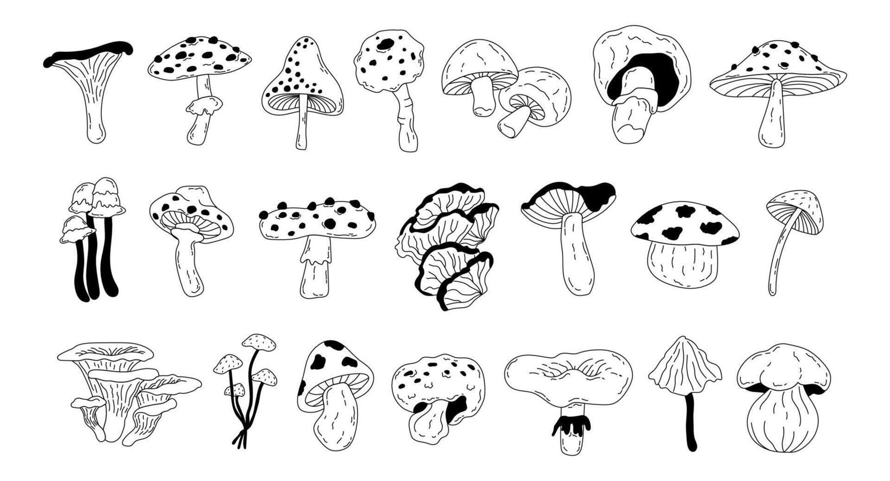 Set of different forest mushrooms drawn in doodle style. Seasonal autumn mushrooms chanterelle, pognanka, fly agaric in line art style. illustration. Toadstool, fly agaric, chanterelle, boletus vector
