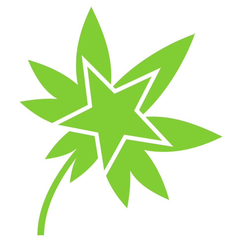 cannabis star leaf icon symbol vector