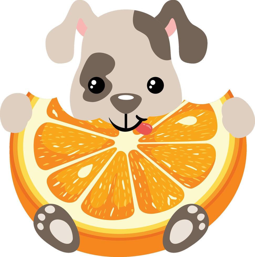 Friendly puppy eating orange slice vector