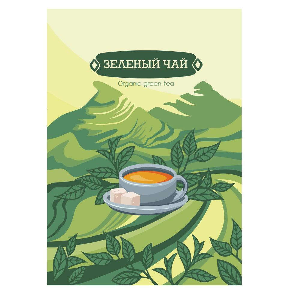 Green tea farm poster. banner with nature landscape. Cartoon flat illustration vector