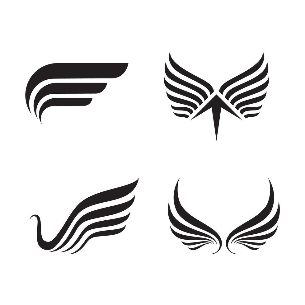 Four different bird wings with different shapes vector