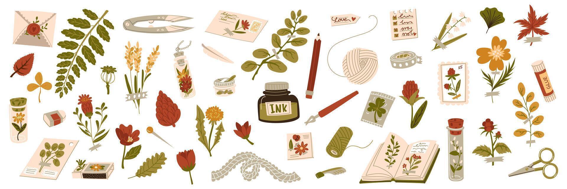 set of scrapbooking, herbarium. Tools, materials for handwork, needlework and creative hobbies. Flowers, leaves, seeds, scotch tape, ink, scissors, paper, book, envelope and more. flat collection vector