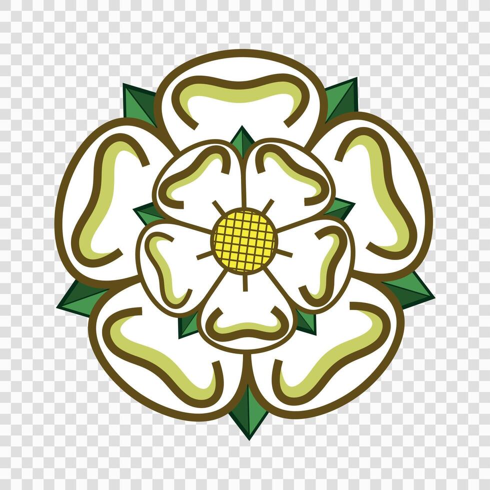 The yorkshire rose, a white flower with green leaves vector