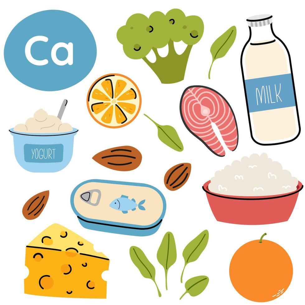 High calcium food sources. Set of products containing a great amount of calcium. Food rich of calcium vector