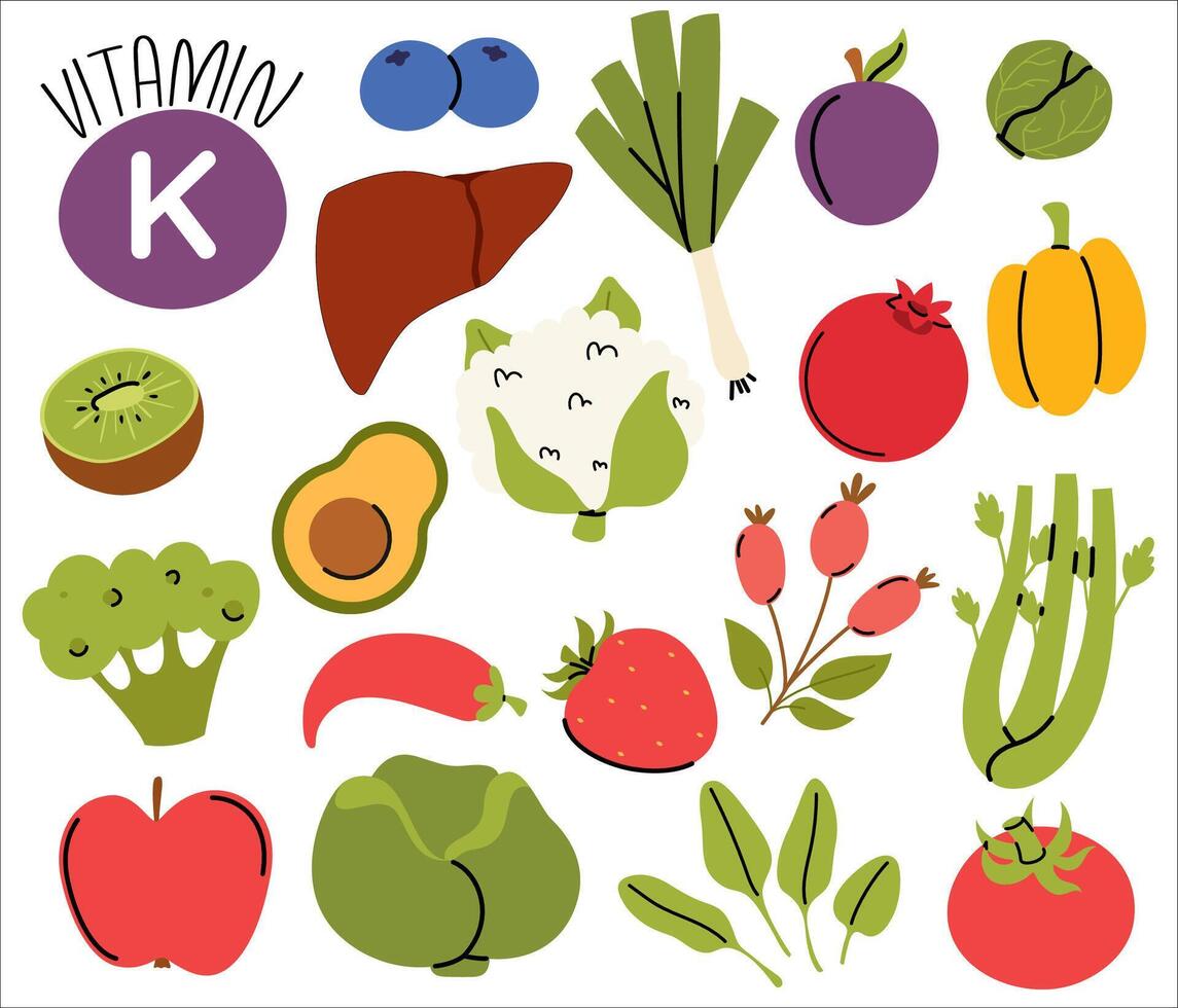 Set of vitamin K dietetic food sources. Healthy organic products . Liver, pomegranate, avocado, cauliflower vector
