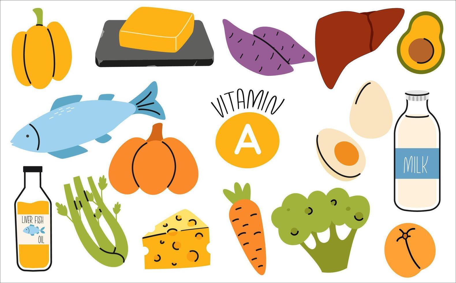 Set of vitamin B2 dietetic food sources. Healthy organic products. Vegetables, celery, cheese, liver fish oil, sweet potato vector