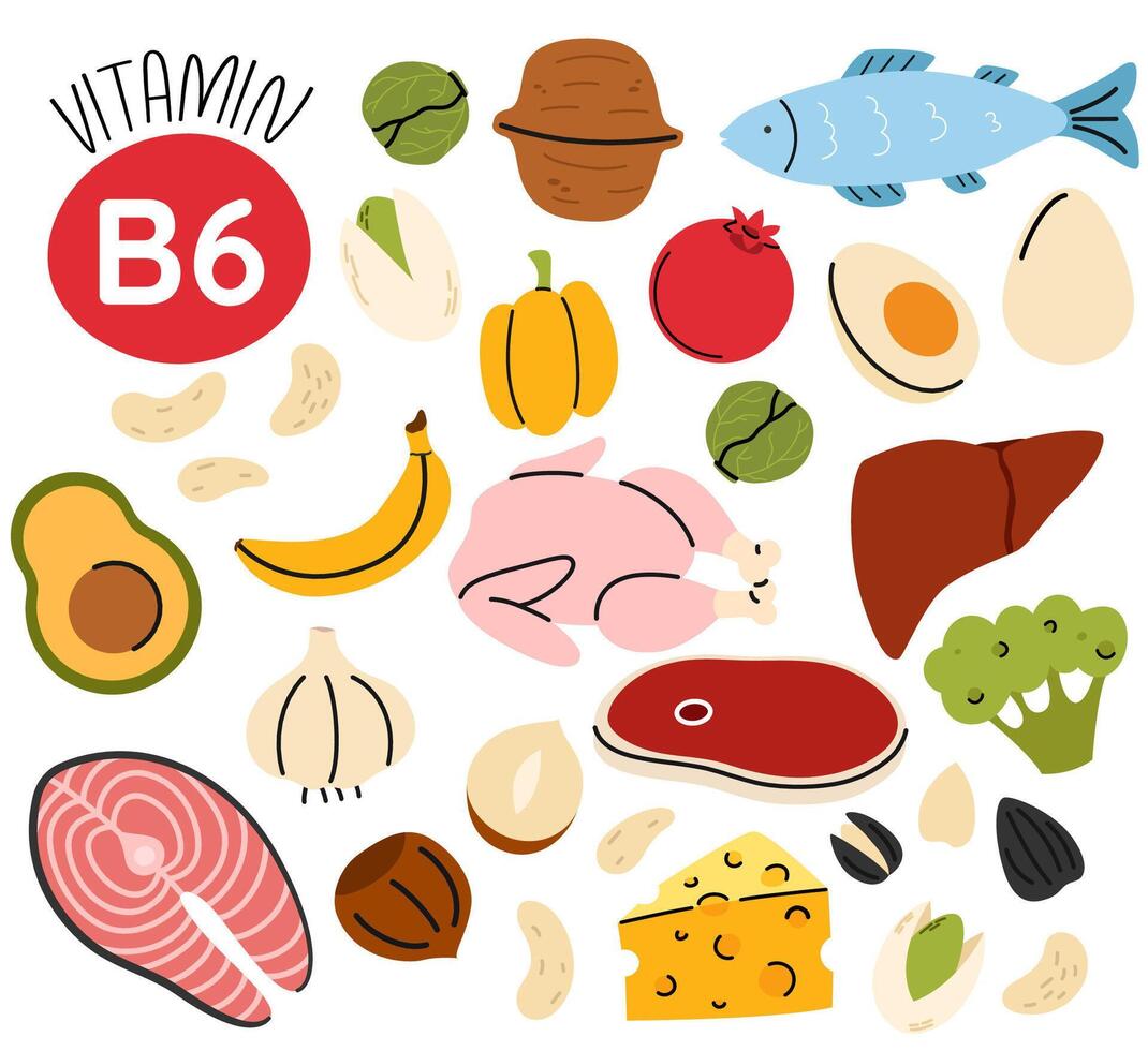 Groups of healthy products containing vitamin B6. Set of fruits, vegetables, meats, fish and nuts vector