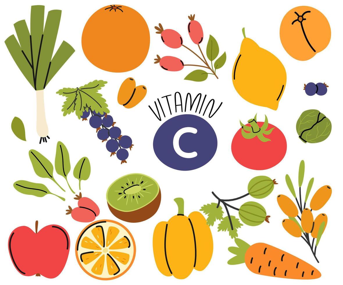 High vitamin C food sources. Set of products containing a great amount of vitamin C. Food rich of vitamin C vector