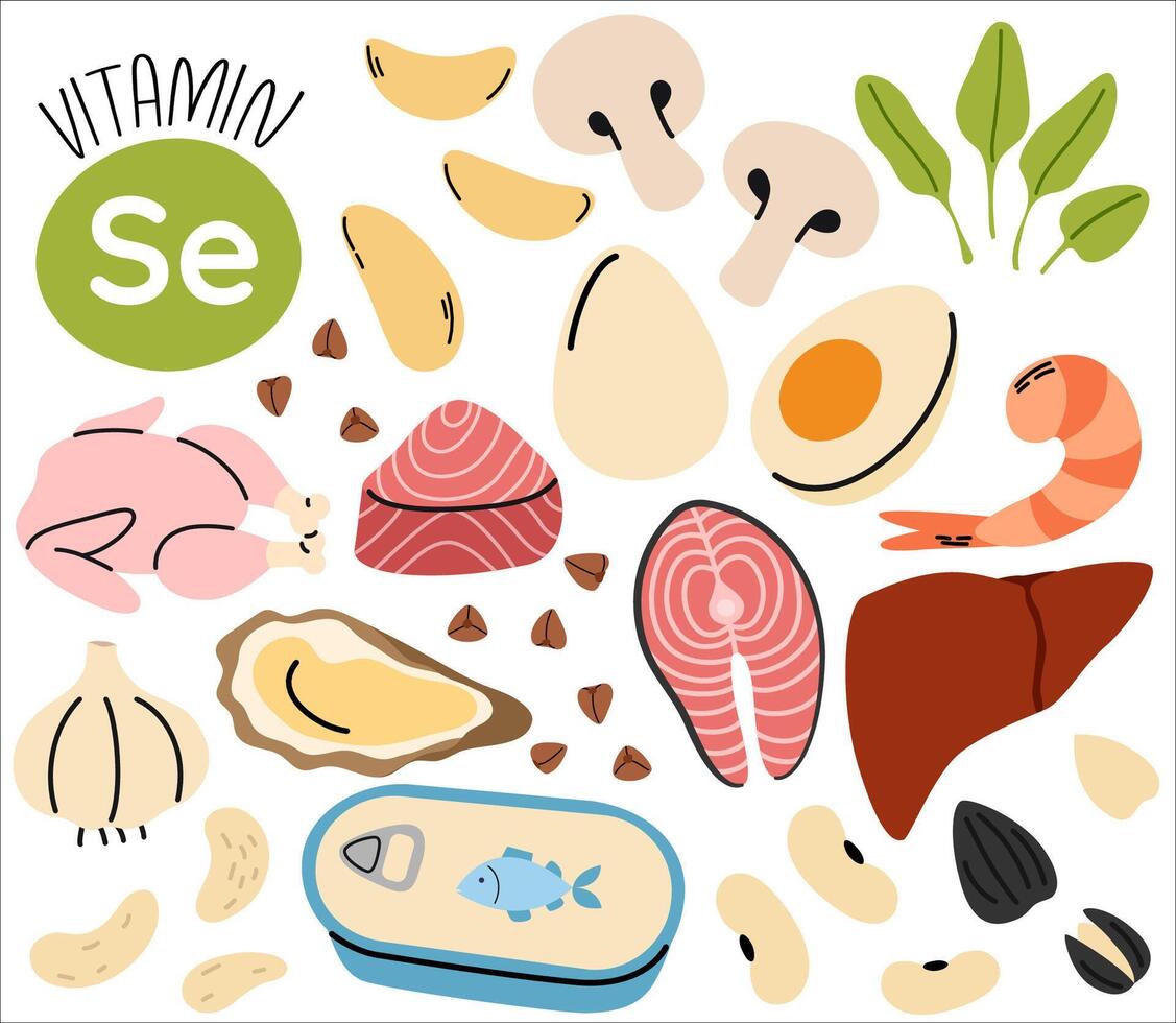 High viyamin selen food sources. Set of products containing a great amount of calcium. Food rich of selen vector