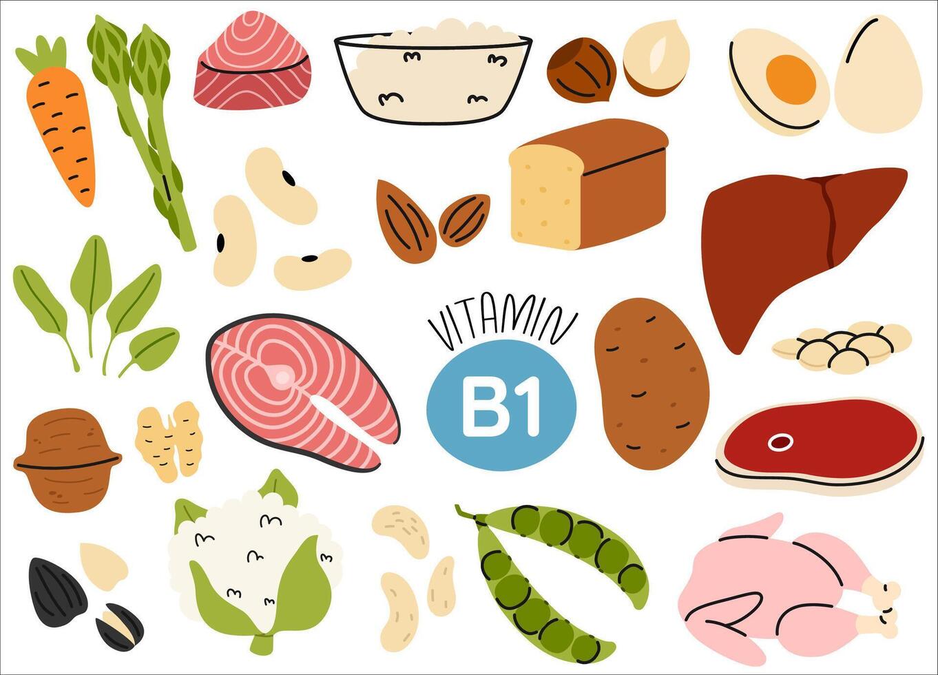 Collection of vitamin B1 food sources. Thiamin diet products. Salmon, bread, nuts, vegetables, meat, fish. Organic nutrition vector