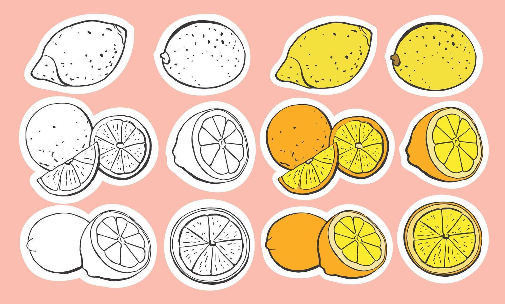 Fresh Lemons, Orange, Citrus Slices in Flat Style with Fruit Ingredients for Drinks and Desserts vector