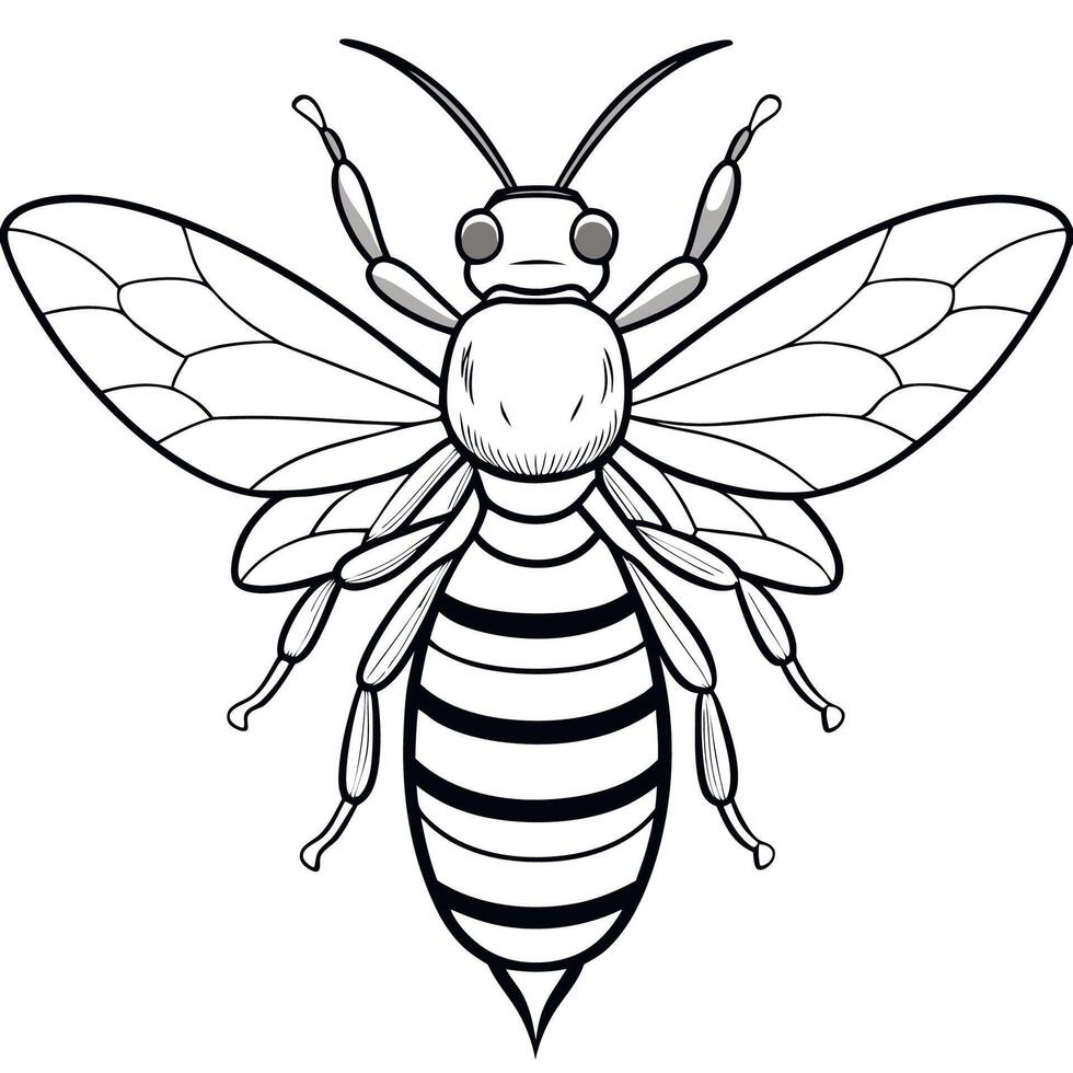 A bee coloring page with a black and white outline vector