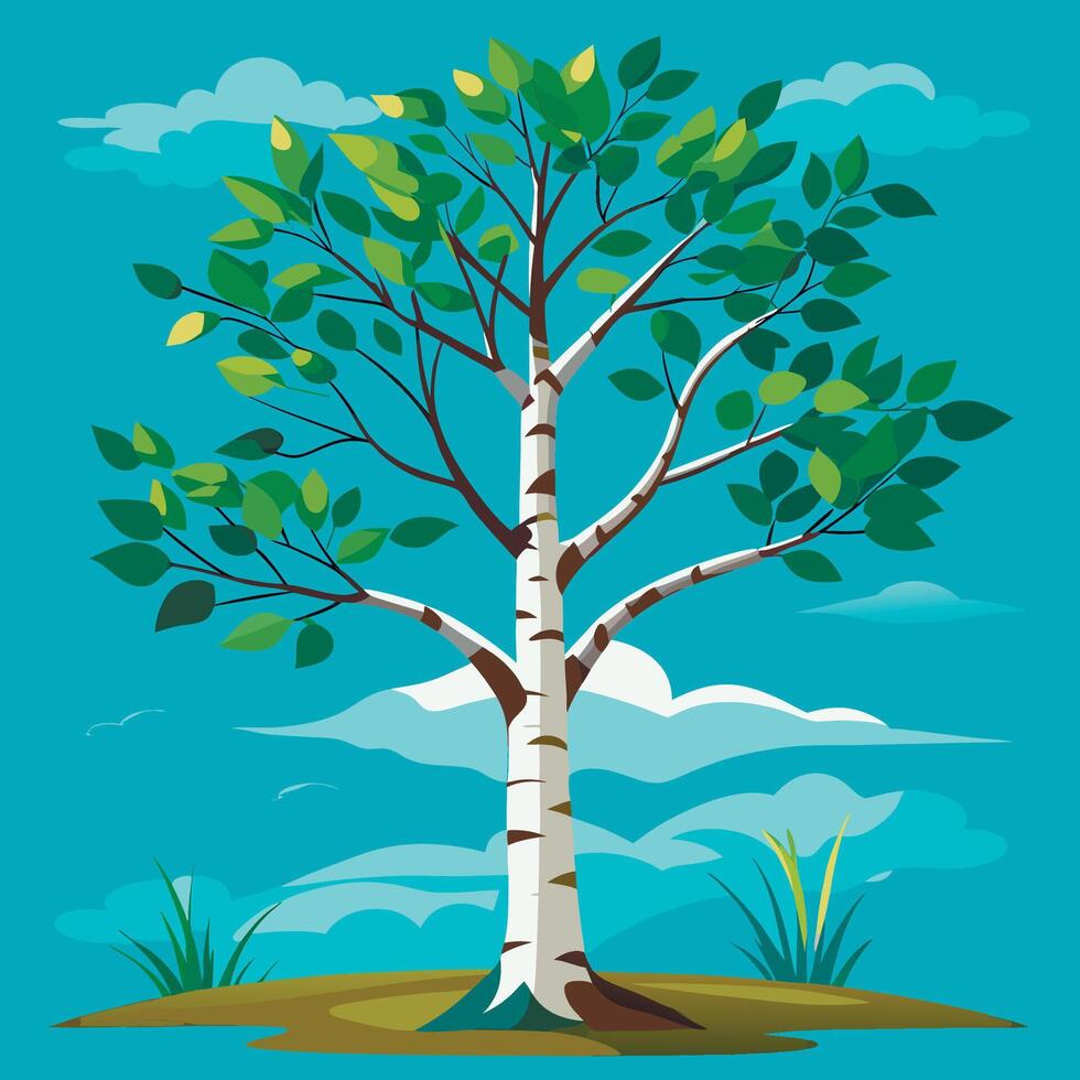 A birch tree with green leaves and grass on a blue background vector