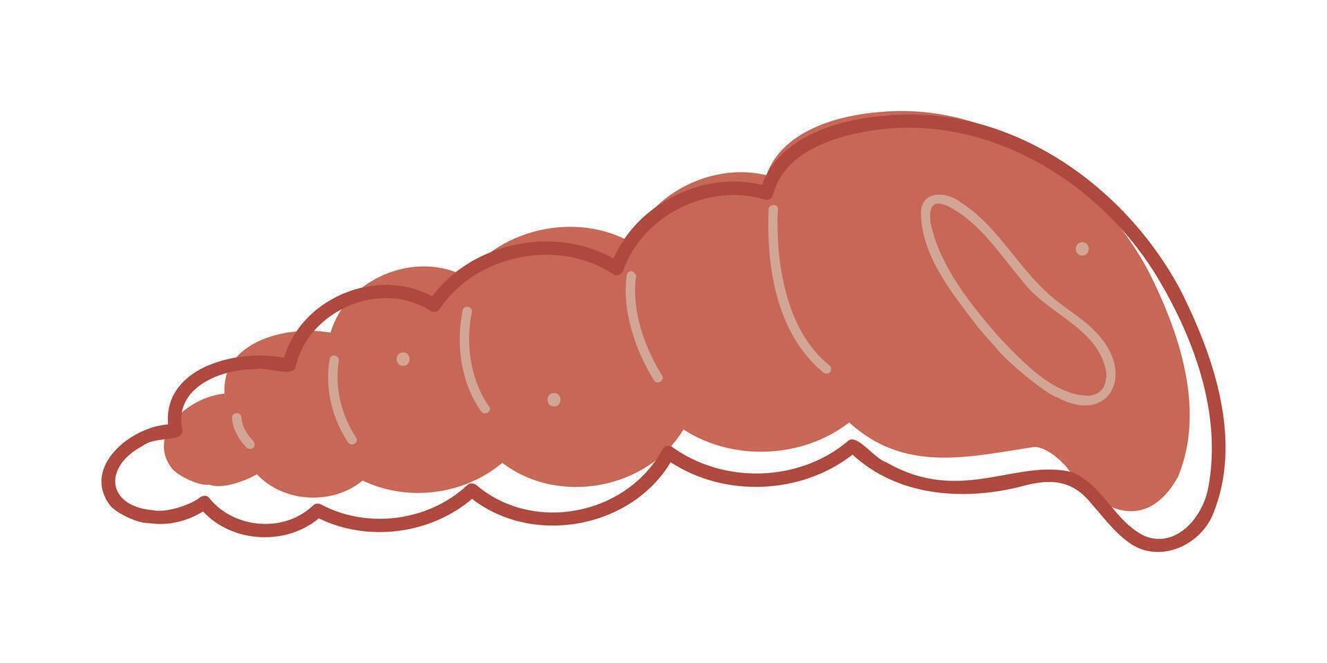 Seashell color. Doodle clip art for your projects. vector
