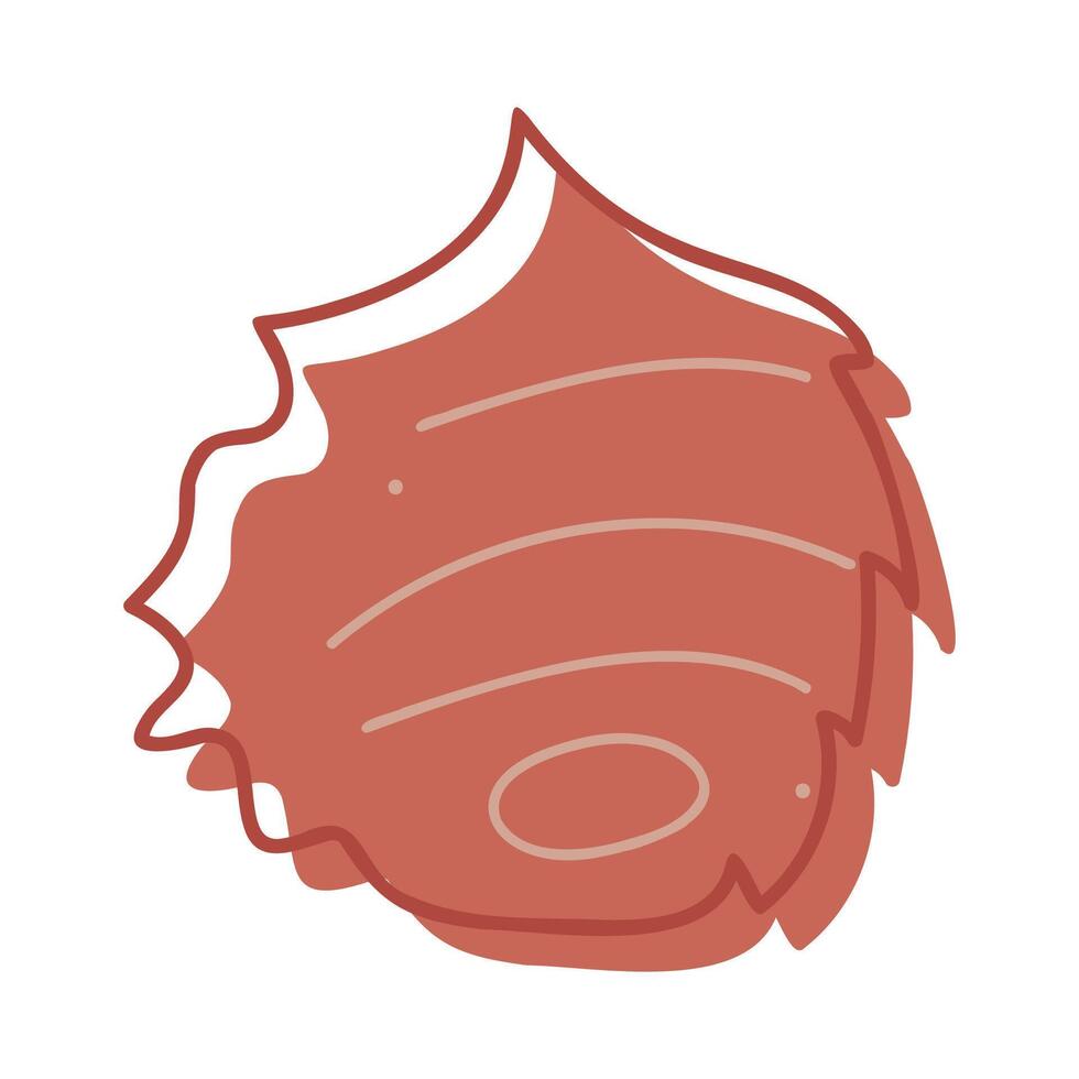 One seashell color. Doodles clip art for your projects. vector