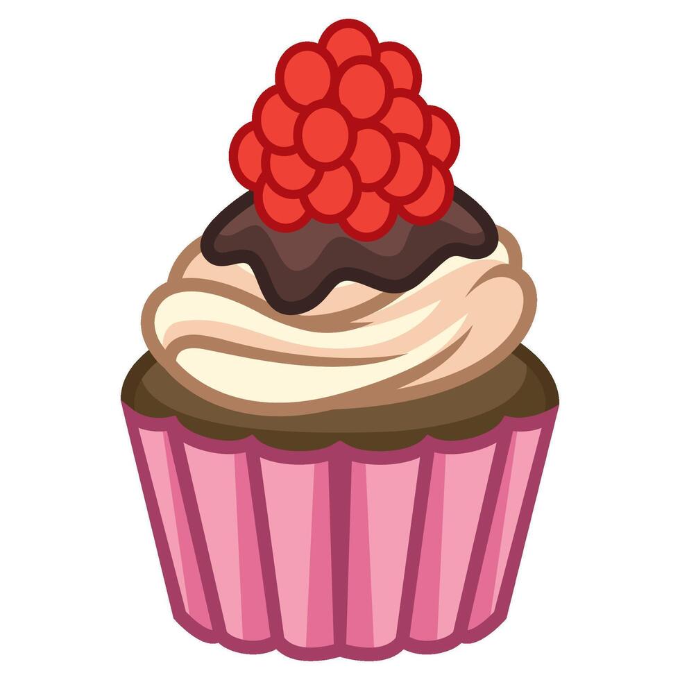 Delicious chocolate cupcake with raspberry vector