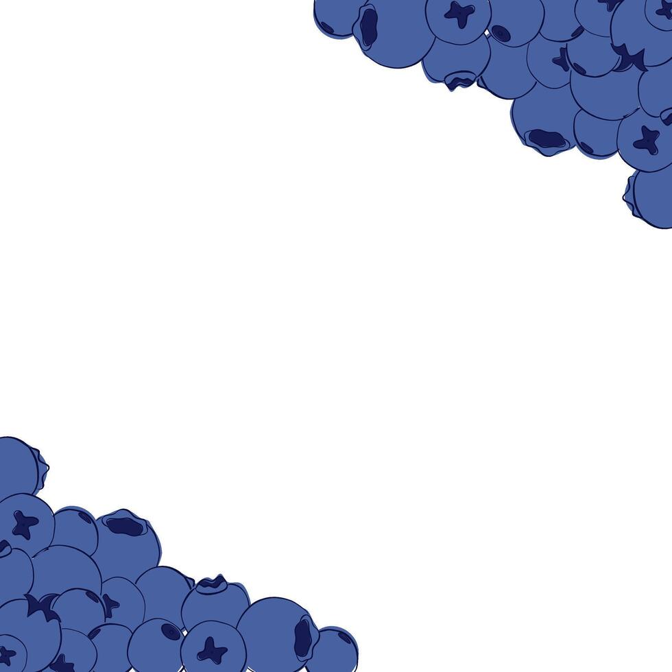Hand drawn graphic line illustrations of blueberry isolated on white transparent background. Detailed square frame with blueberries. Applicable for menu, brochures, flyers. vector