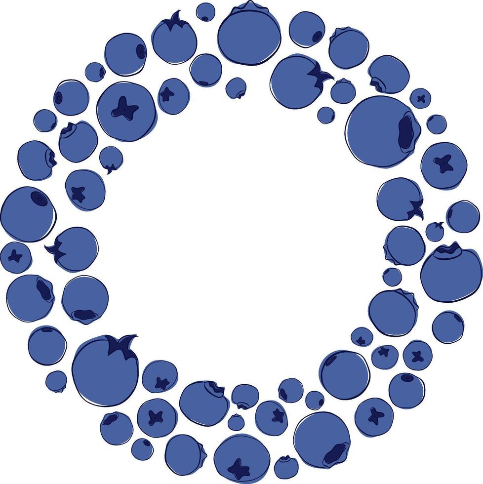 Blueberry circle round frame graphic line illustration on white transparent background. Greeting card or invitation design vector