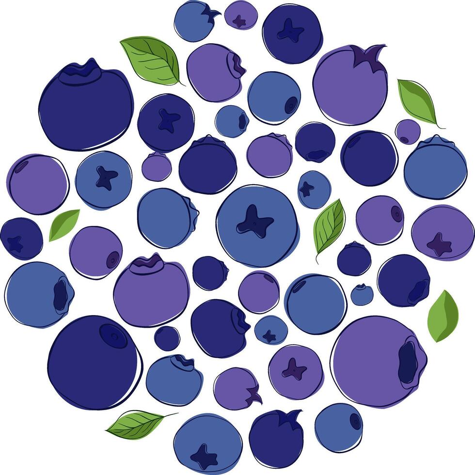 Blueberries with leaves round circle composition isolated on white background. Graphic line illustration for logo vector