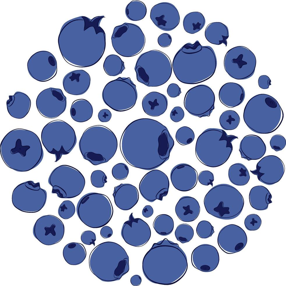 Round composition of blueberries. Outline graphic style. Design element for packaging, eco bags, dishes, websites, emblems, shops, fabrics vector