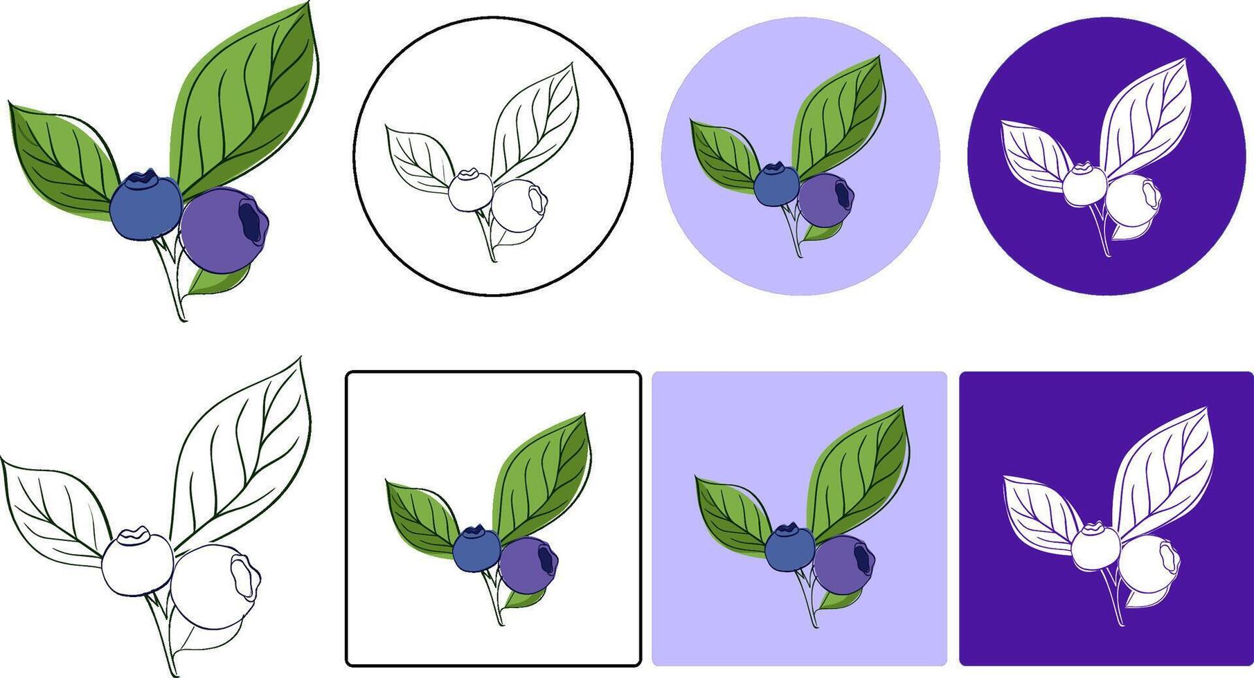 Graphic line style drawing of whole healthy organic blueberries for orchard logo identity. set of two blueberries on branches with leaves design graphic illustration vector