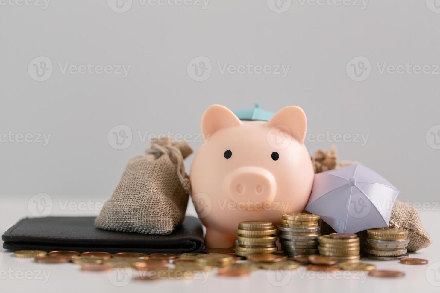 By managing your budget and savings, investing wisely, and effectively handling income, finance, and business transactions, you can build wealth and increase your cash reserves in bank. stock, balance photo