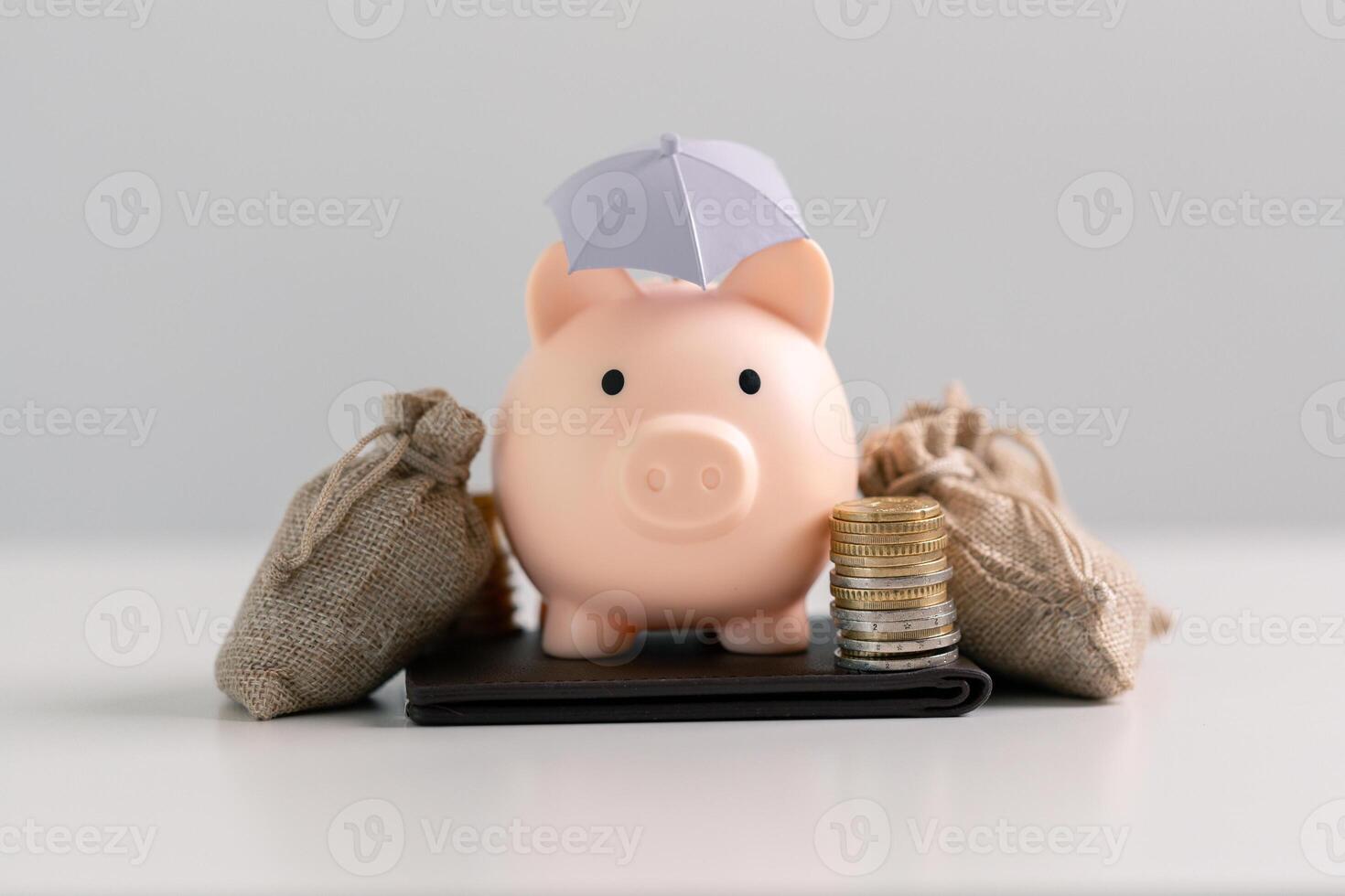 Saving money in the bank and making strategic investments in property and stock can help grow your capital while ensuring your finances remain safe. concept, account, debt, earning, income, profit photo