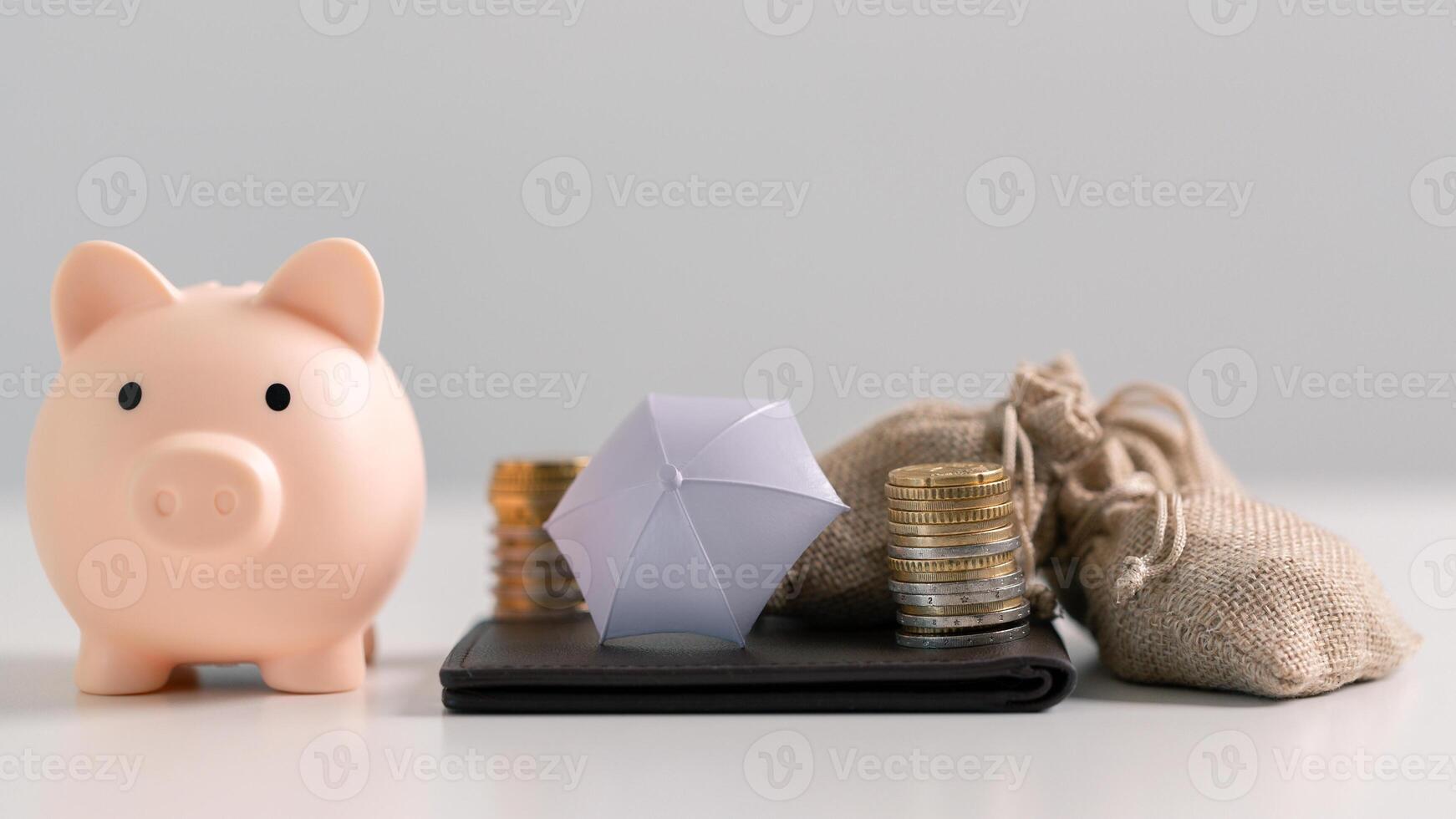 Saving money in the bank and making strategic investments in property and stock can help grow your capital while ensuring your finances remain safe. concept, account, debt, earning, income, profit photo