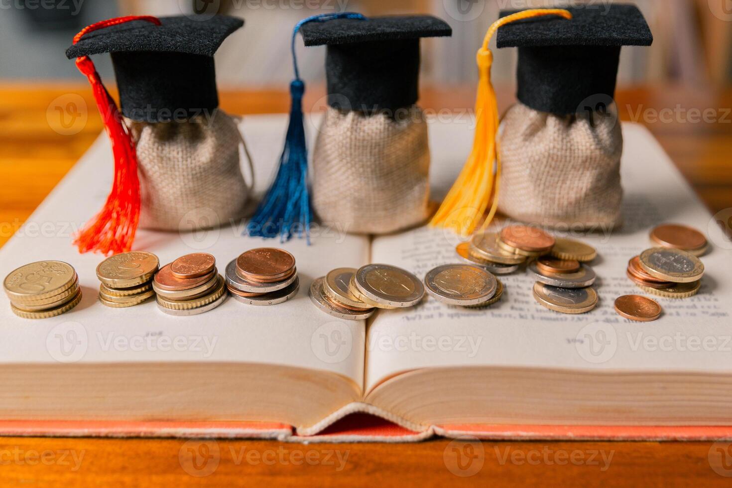 Saving money and investing in education abroad can lead to future success despite the expense, paving way for valuable learning and financial growth. motivation, strategy, analysis, ambition, advice photo