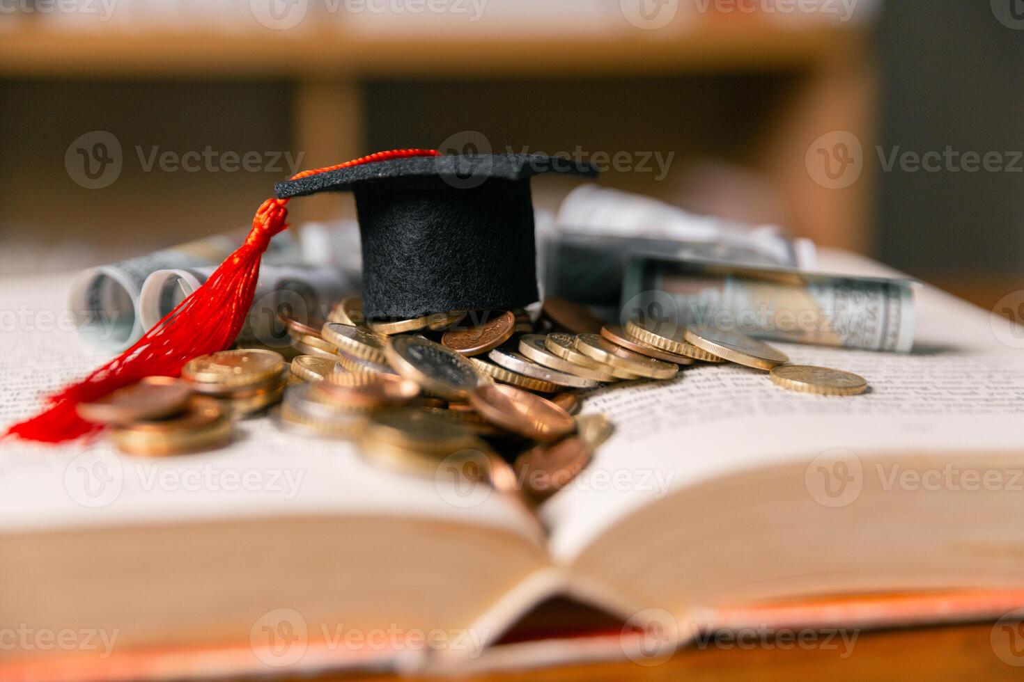 Investing in education abroad, saving coins and money, leads to financial growth, successful graduation, and future success. management, planning, stack, profit, prosperity, step, performance, secure photo