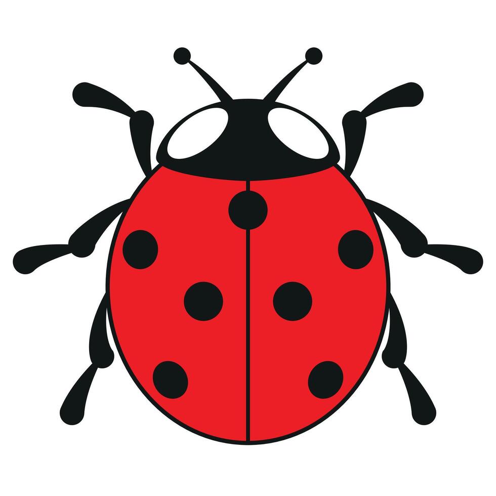 seven-spot ladybird, color illustration of seven-spotted ladybug, isolated on white background vector