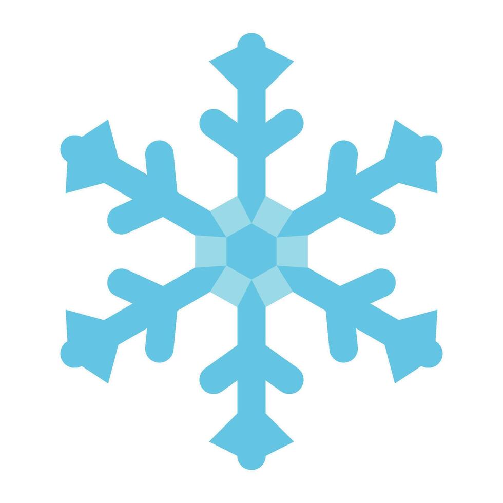 snowflake flat icon vector