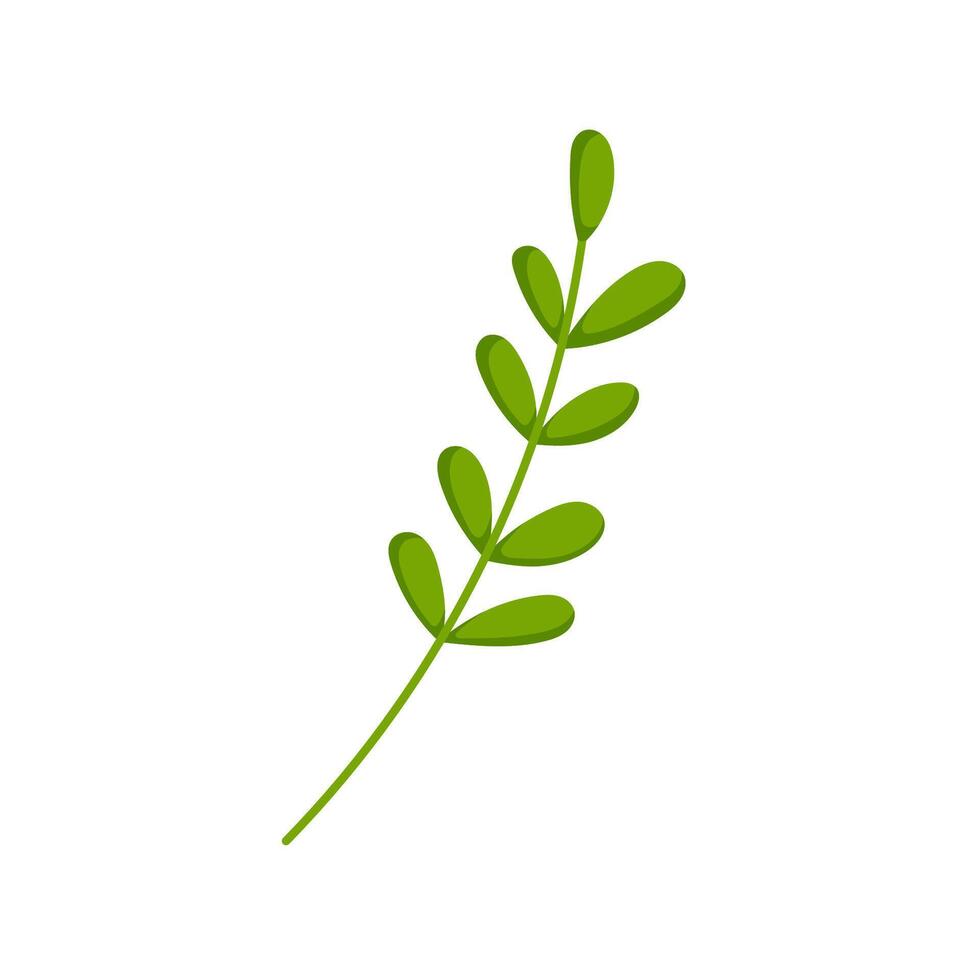 Green branch with rounded leaves in cartoon style. Simple botanical design perfect for nature themed project, eco friendly design and decorative elements. Isolated on white background. vector