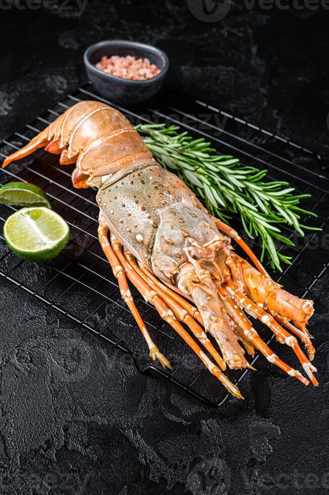 Boiled Spiny lobster or sea crayfish ready for eat. Black background. Top view photo