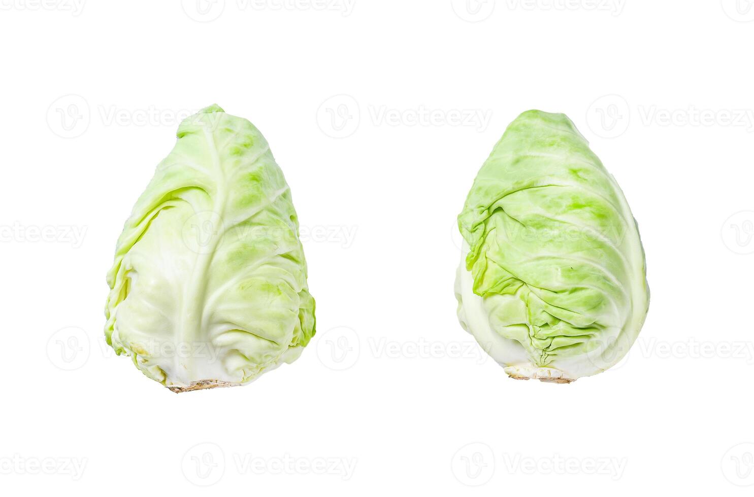 Raw Pointed white cabbage head. Isolated on white background. Top view. photo