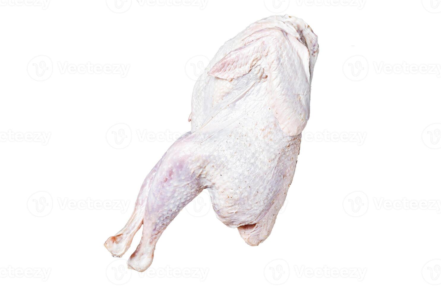 Raw Guineafowl, guinea fowl with herbs in steel tray. Isolated, white background. photo