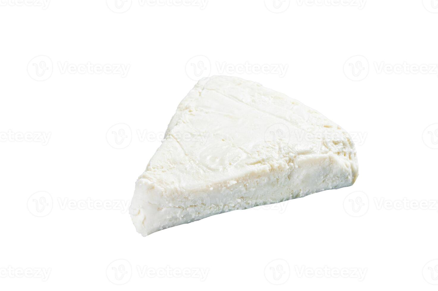 Soft goat and sheep milk cheese. Isolated on white background photo