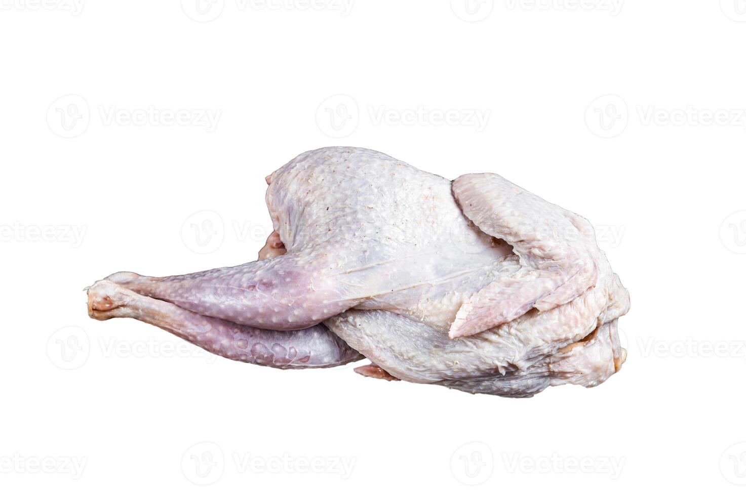 Raw Guineafowl, guinea fowl with herbs in steel tray. Isolated on white background. photo